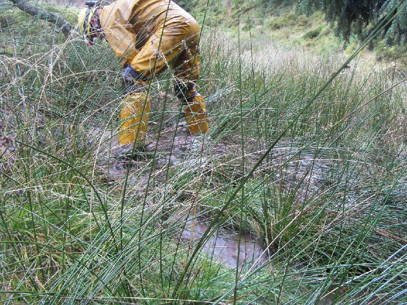 03_sbfl_aditclearing4.jpg - More clearing...