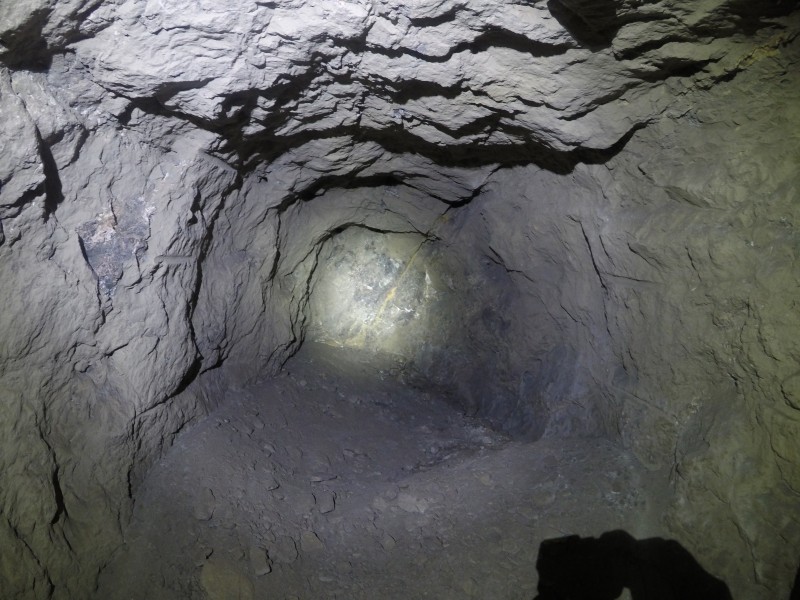 GOPR0853.JPG - Forehead on one of the trials from the 1980's.