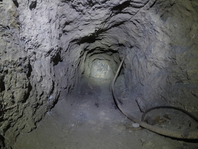 GOPR0855.JPG - Forehead and defunct airpipe on one of the trials from the 1980's.