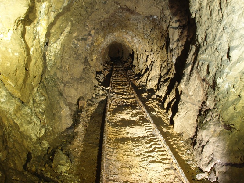 P6049386.JPG - Railed section in the 1950's part.