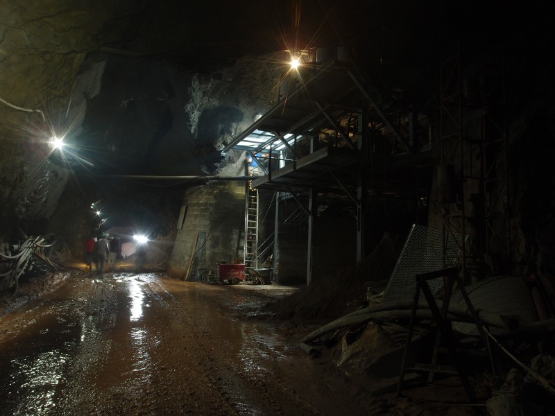 P6049392.JPG - Spiral plant.