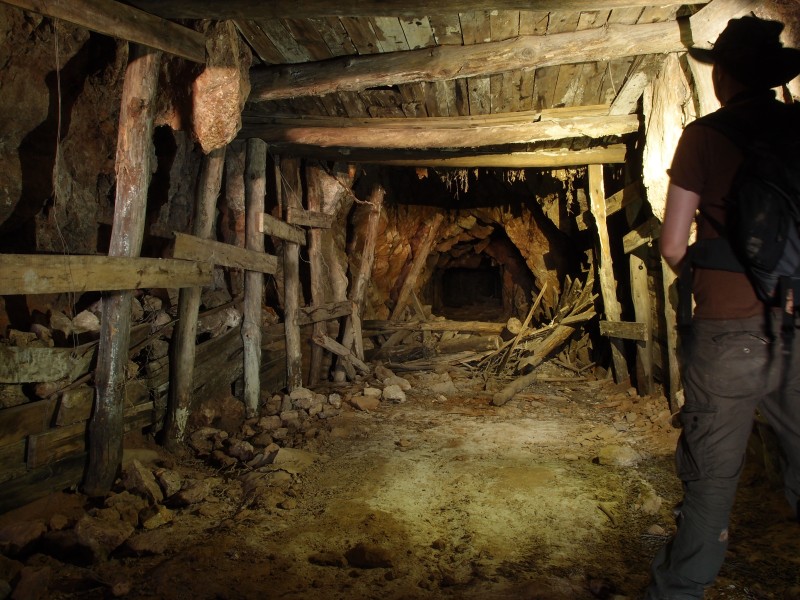 P6067754.JPG - Timbered roof supports.