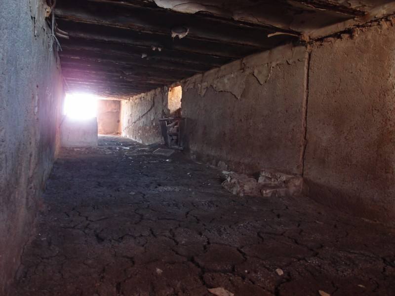 P6067823.JPG - Higher floor in the same building, more sheep and bird...