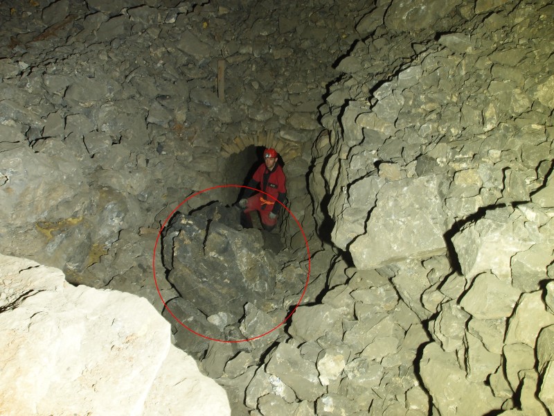 P7242977RF.jpg - One of the large one.