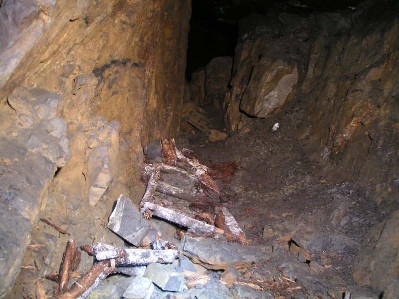 sc_grotto_sublevel_ladder.jpg - Just by the sump the remains of the this badly decomposed ladder can be seen, a small part of the ladder is still in the sump.