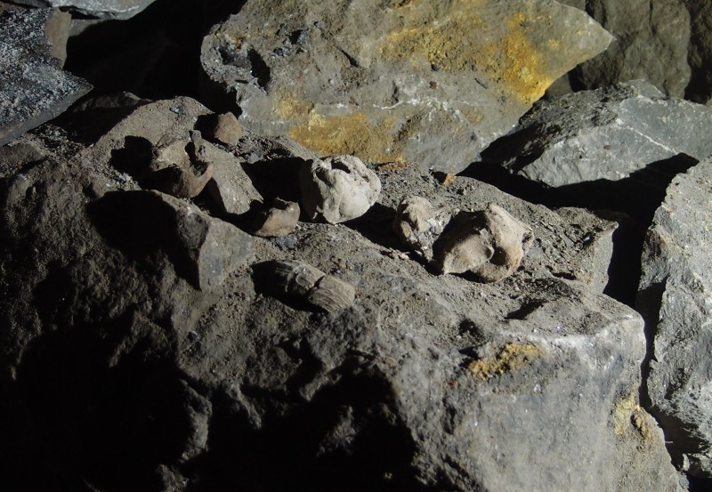 Image3.jpg - Back in Incline Flats and we noticed these balls of clay and two fragments of a clay pipe.