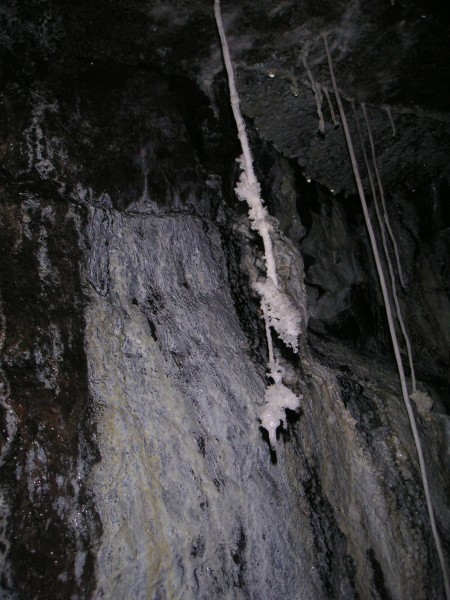 sc_sublev_longcrystalisedstaws.jpg - A crystalised straw. Not sure how these form, but I wonder if it is something to do with the amount of water, with less water the straw end dries out and the crystals grow?