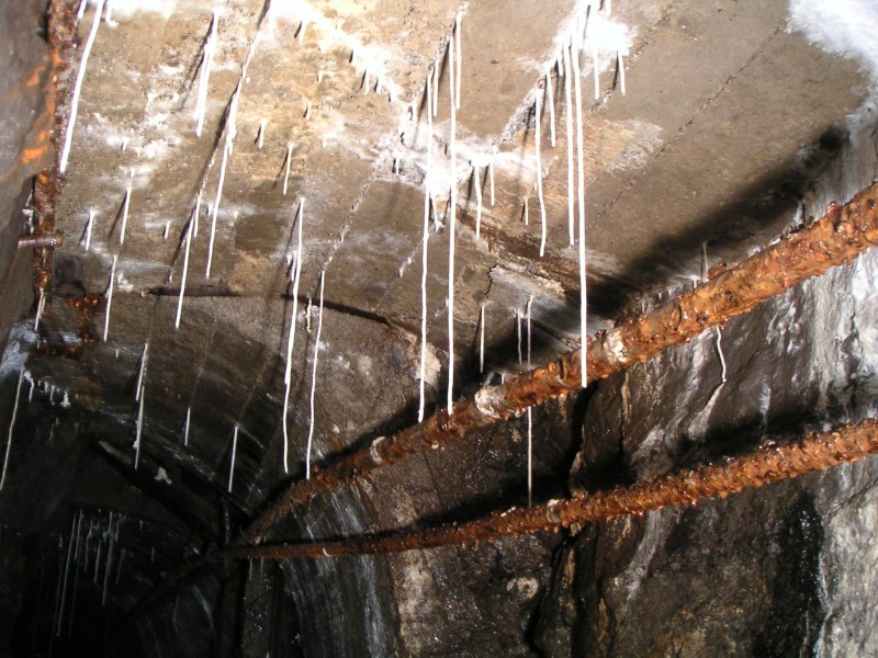 sc_sublev_straws1.jpg - More straws growing from the arching.