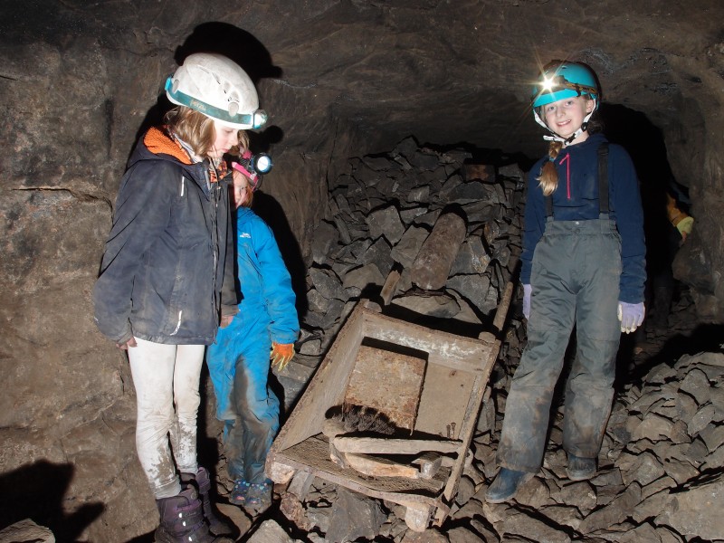 P2200796.JPG - The three fillies are totally amazed at the old wheel barrow.
