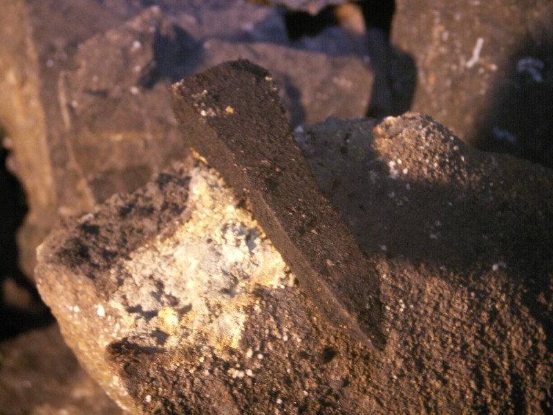 sc_newfanflats_woodennail1.jpg - A  photograph by Ambrose of a wooden peg.