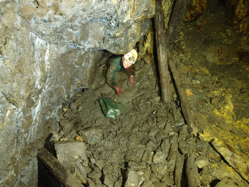 P1303618.JPG - North end of Luke Hall's crosscut.