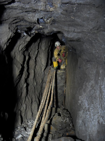 19_sc_mcssv_we_chutepipeskarli.jpg - If you carry on long the horse level, you come to a rise with an airpipe going up it and when you look up, you can see pipes across it. This is the top end.