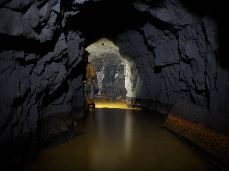 28_newcrossv_forehead2.jpg - New Cross Vein, the forehead.