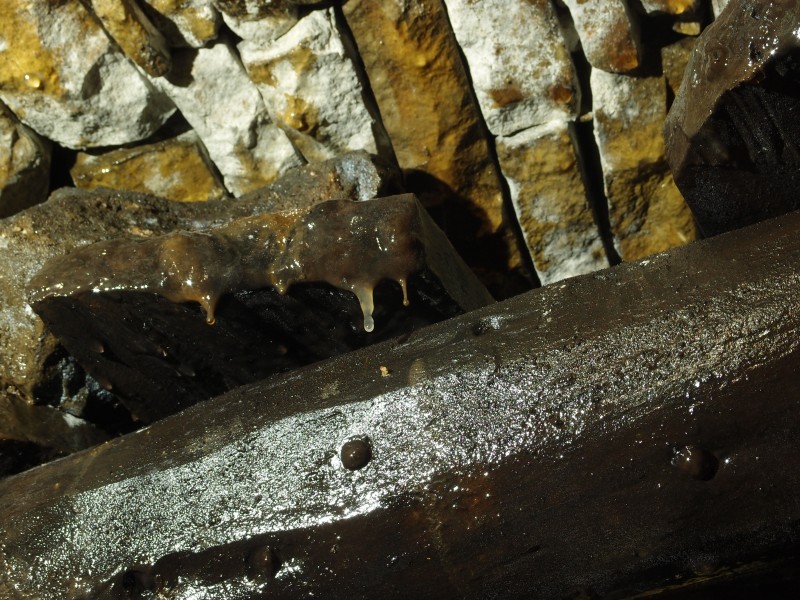 PC028607.JPG - Snottite on a piece of timber holding the arching up.