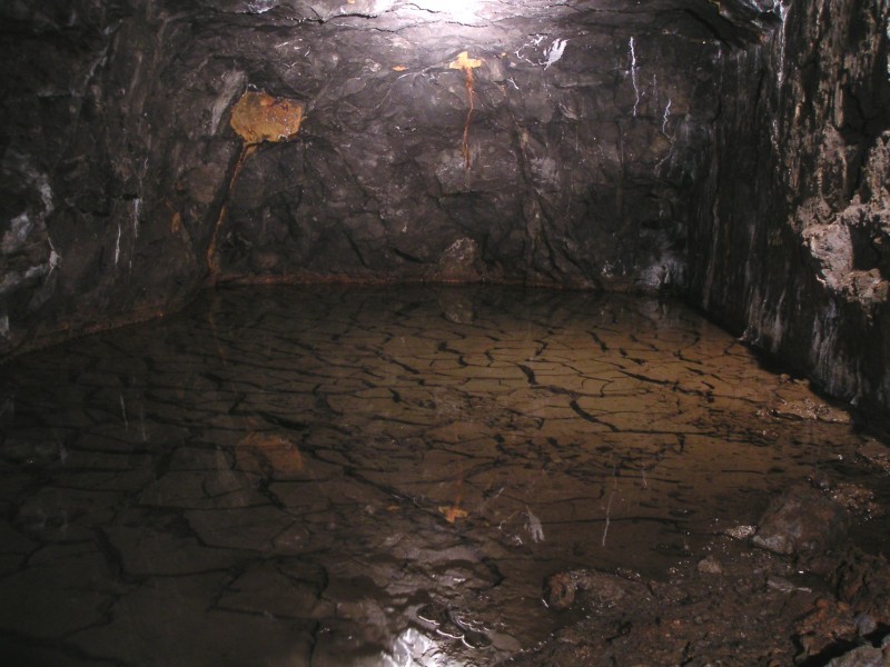 sc_pool_hydrashaft1.jpg - In the flat there where two side chambers, in one of them there was a pool of mud which must have dried out at some stage, cracked and filled back in with water. A very nice sight, unfortunately we where not able to light it better.