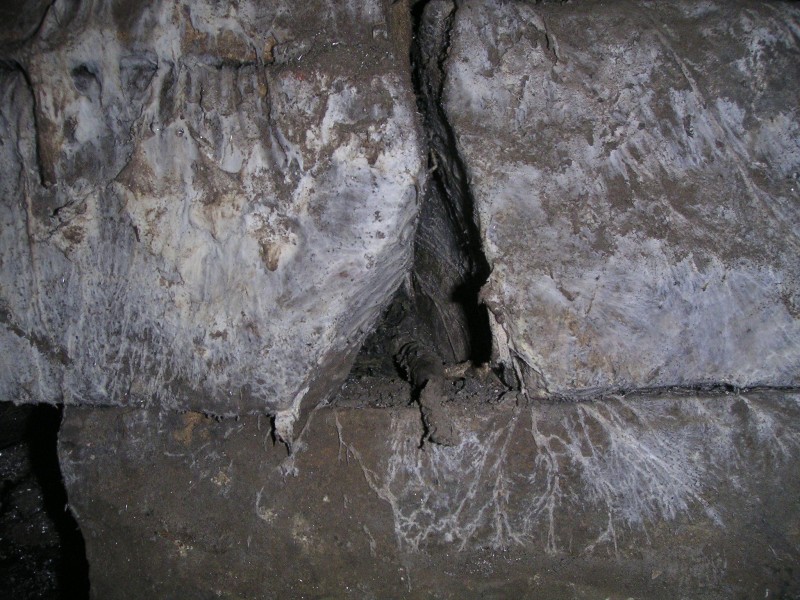 sc_wf_sl_candle.jpg - Whilst having a rest opposite a hopper I looked round and found this unused candle looking at me, it's wick was very thick which makes me wonder if it was used for something else rather than light as it would not last long?