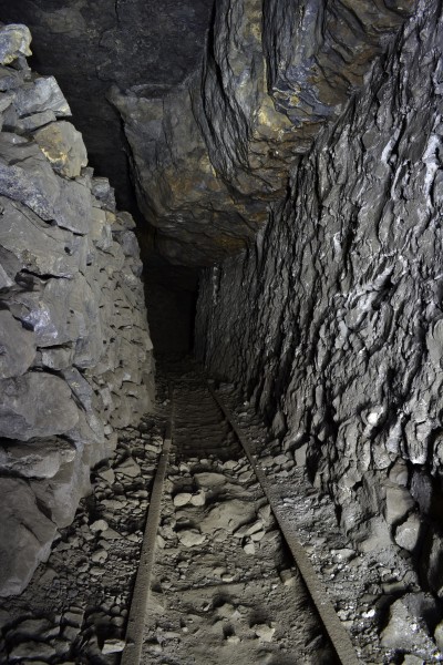 DSC_0768.JPG - Horse level in Smallcleugh Flats.