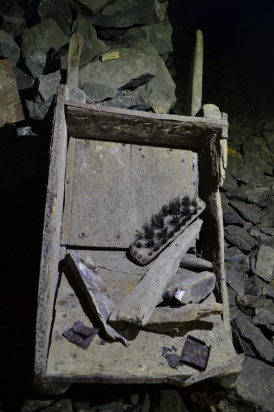 DSC_0789.JPG - Wheel barrow with brush head, detonator tin lid.