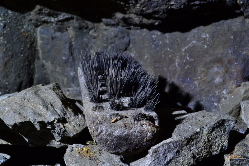 DSC_0801.JPG - Brush.