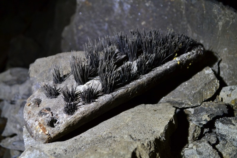 DSC_0804.JPG - Brush.