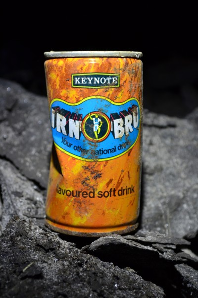 DSC_0812.JPG - Vintage litter. Or is it an artifact now?