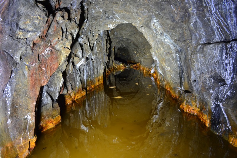 DSC_0847.JPG - The Flatt Crosscut.