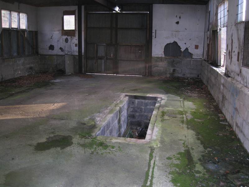 IMG_5606.JPG - Workshop pit.