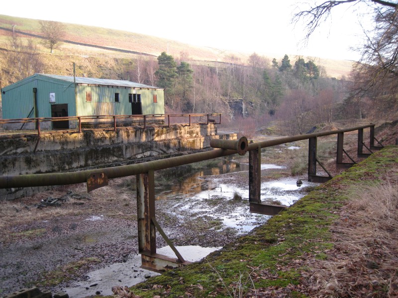 IMG_5616.JPG - Ore bing.