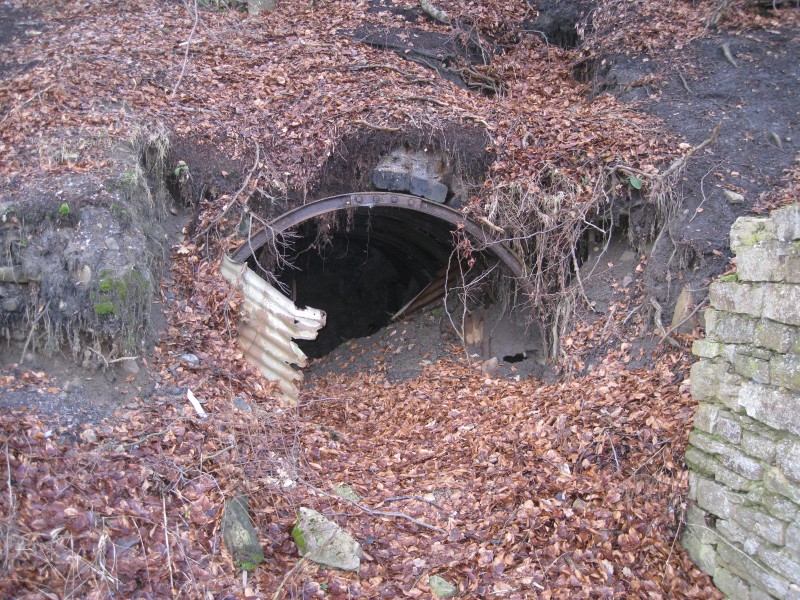 IMG_5617.JPG - Shield Hurst Adit.