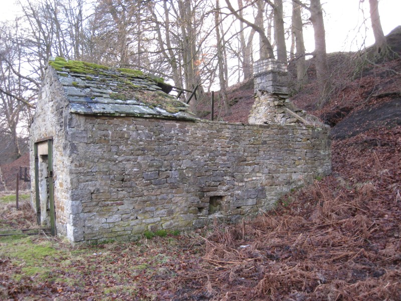 IMG_5621.JPG - Mineshop.