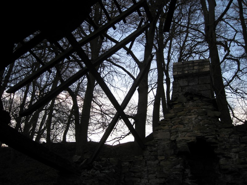 IMG_5627.JPG - Looking out of the roof in the mineshop.