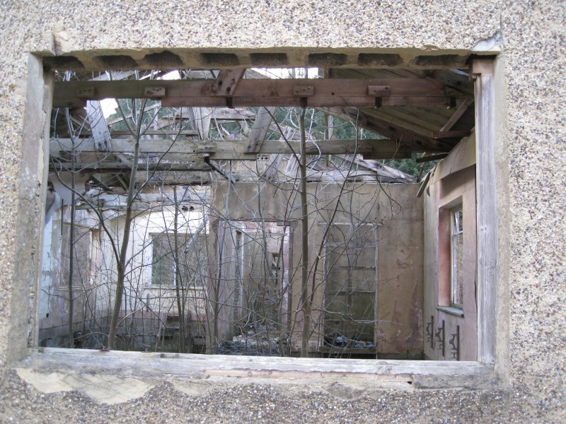IMG_5639.JPG - Trees growing inside the mine office building.