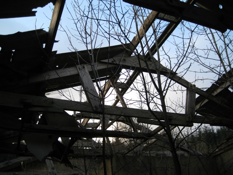 IMG_5641.JPG - Looking out of the roof in the mine office building.