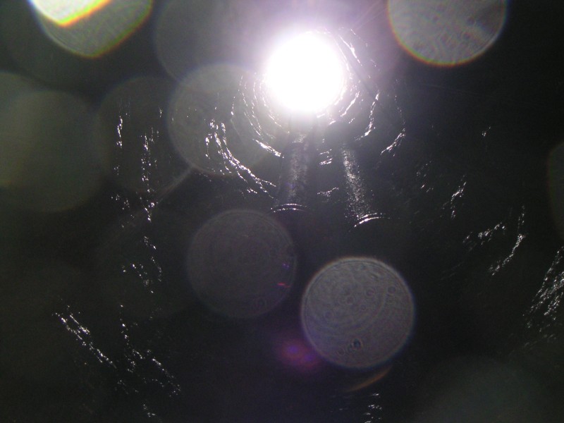 bs_lookingup.jpg - Climbing back up, I can see the light.....