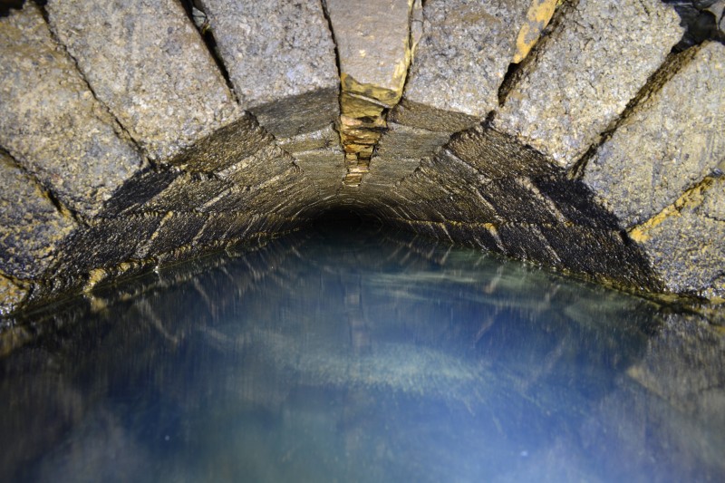 DSC_0013.JPG - Who's going to go first? Photo by Karli.