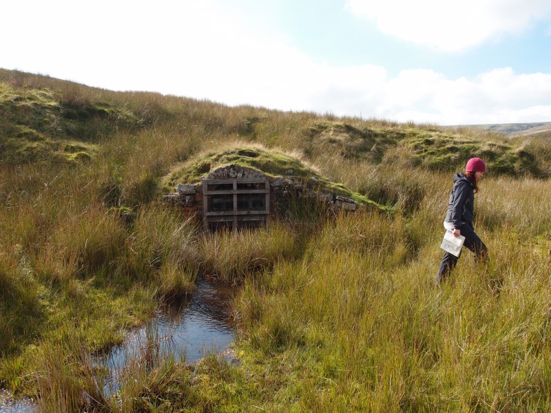 P9291638.JPG - Swinhope Horse Level adit.