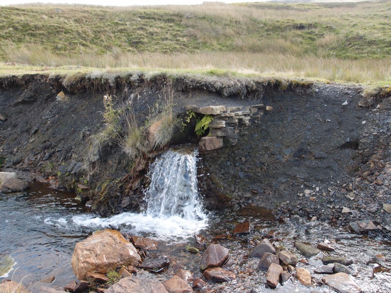 P9291639.JPG - Leat to drain the horse level.