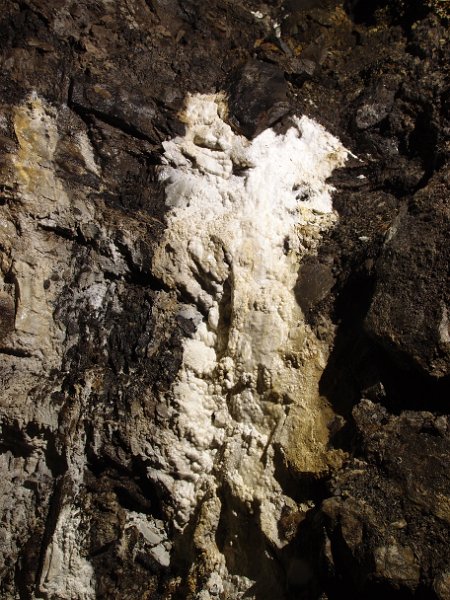 P6113814.JPG - Cacification in the short crosscut to George Lee's Rise.