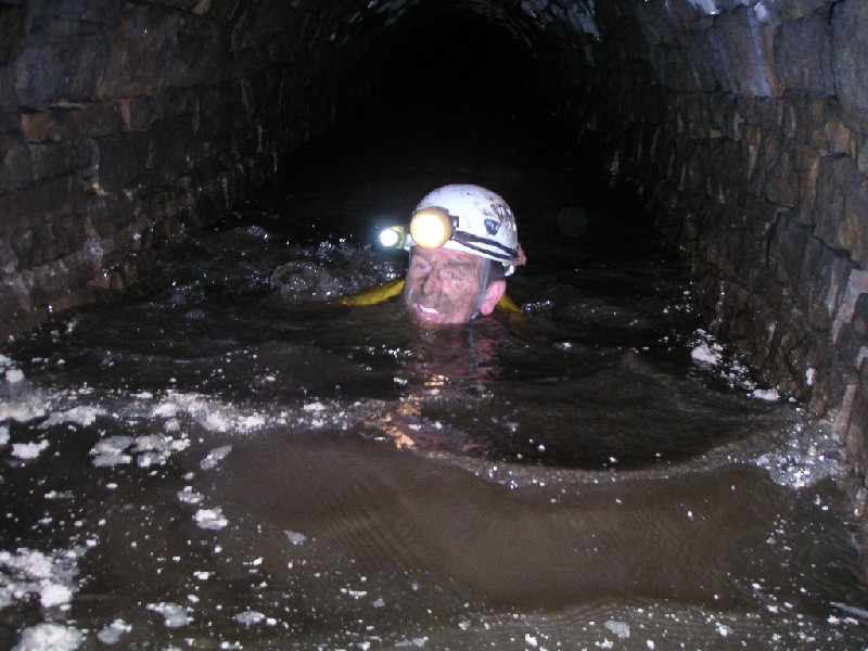 ccl_horse_level_passage_swimming.jpg - Mark had been going on about snorkling in the water and finally he decided to have a swim. Is this sort of thing normal?