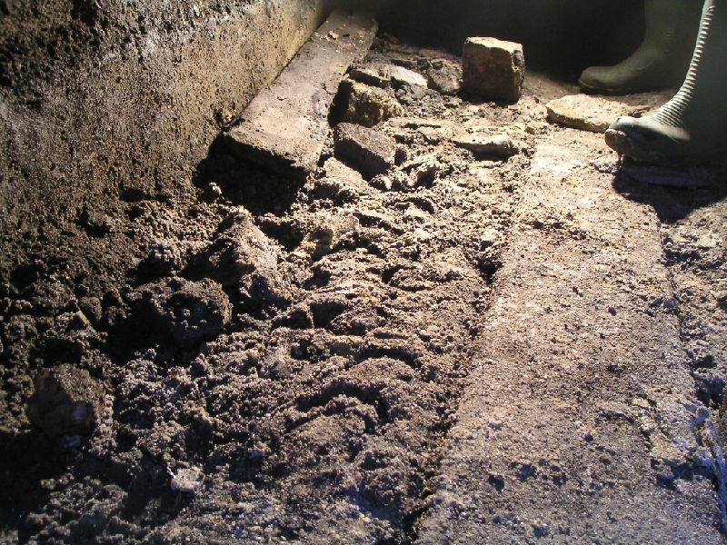 firestonedrift_clogprints.jpg - Clog prints on the left and barrow planking.
