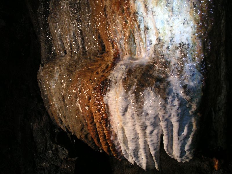 cl_calciteflow4.jpg - In one of the side passages before a collapse this amazing clacite formation was found, it looks like an alien life form.