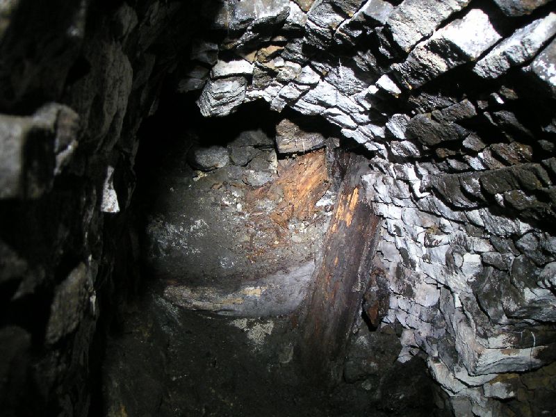 sc_whimseysublevel2.jpg - The sublevel looking south, thinking, could this be a level above Carr's to access flats?