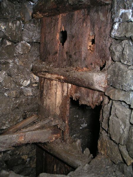 sc_sublev_woodenshaft3.jpg - And on the left branch you reach this wooden lined shaft. Karlie climbed down it to another sublevel.