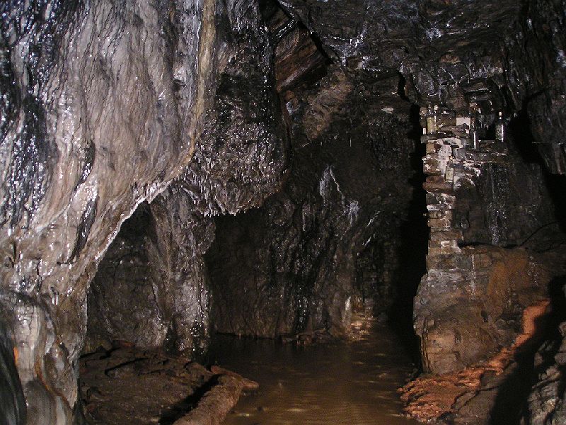 rg_whiskeybottlejunc3.jpg - Finally coming out of the Hangingshaw Branch at Whiskey Bottle Junction.