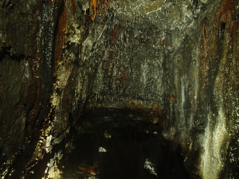 PA043168.JPG - Forehead of level in the first junction.