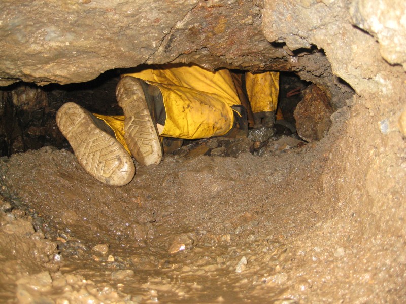 IMG_4664.JPG - Karli sent in to investigate a small hole.