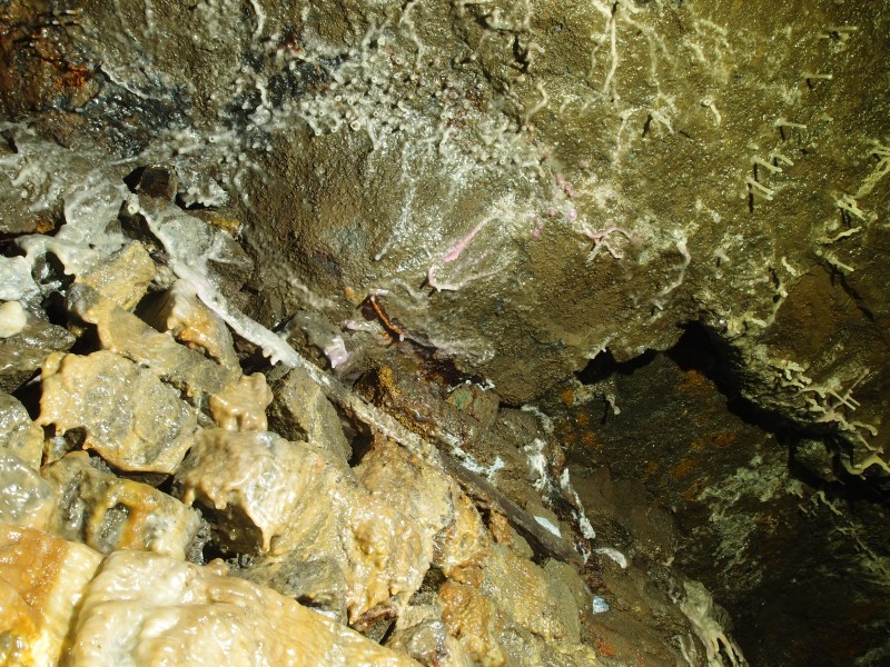 PA296638.JPG - Cobolt stained flow stone. North Vein level.