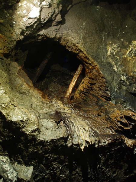 PA296652.JPG - Heavily calcified rise. North Vein flats.