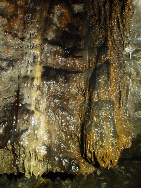 PA296653.JPG - Heavily calcified rise. North Vein flats.