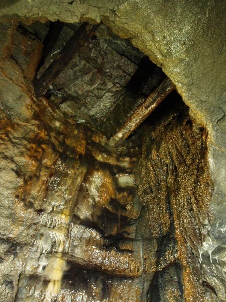 PA296655.JPG - Heavily calcified rise. North Vein flats.